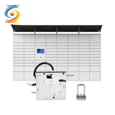 Corrosion Resistant Parcel Locker Locks For Secure Package Storage And Delivery