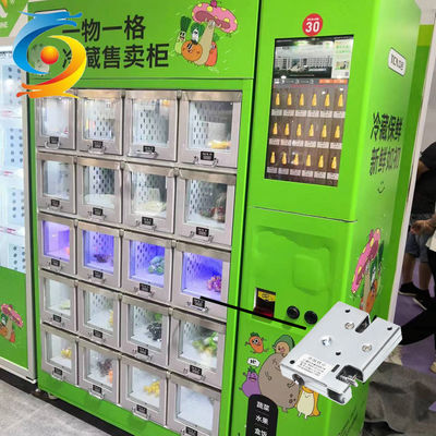 12v / 24v Electromagnetic Electric Cabinet Locks OEM Pulling Smart Lock