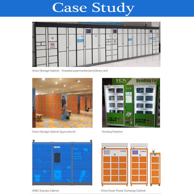 OEM ODM 304 Steel Hidden Electrical Magnetic Lock For Smart Locker Cabinet