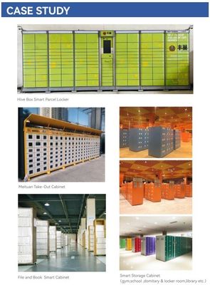 DC 12V Hidden Electrical Magnetic Lock OEM ODM For Smart Storage Lock/Parcel Delivery Lock