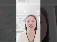 Smart Magnetic Electric Solenoid Lock Stainless Steel SM Connector